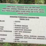 Proyek Reboisasi 15M Terbengkalai