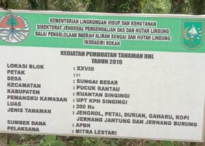 Proyek Reboisasi 15M Terbengkalai Hutan Lindung Kuantan Singingi