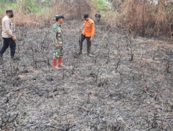 Danramil 08/Labuan Amas Utara Pimpin Langsung Patroli Karhutla