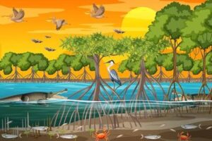 Kawasan Hutan Suaka Margasatwa di Kampar Pelan Pelan Jadi Kebun Sawit