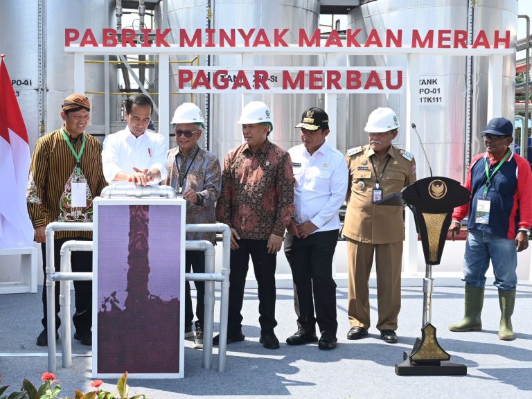 Presiden Resmikan Pabrik Percontohan Minyak Makan Merah Pertama di Indonesia