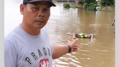 Penemuan Mayat di Batang Kuantan, Kec. Kuantan Tengah