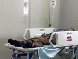 Di tendang Sapi Kurban, Warga Bandar Lampung Sampai Muntah Darah