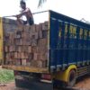Kegiatan Illegal Loging Di Sandai Masih Tetap Berjalan Trus, Diduga Keras Ada APH Di Belakangnya