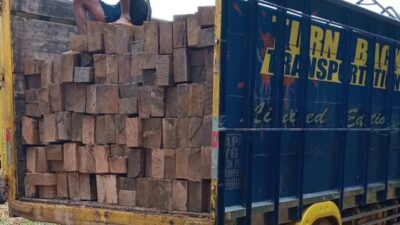 Kegiatan Illegal Loging Di Sandai Masih Tetap Berjalan Trus, Diduga Keras Ada APH Di Belakangnya