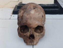 Heboh,… ! Penemuan Tengkorak Manusia di Riau