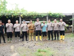 Wakapolda Metro Jaya Bersama Kapolres Metro Bekasi Pantau Kesiapan Lahan Swasembada Pangan