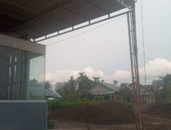Pengusaha Praktek Jual Beli Cangkang Diduga Ilegal Bebas Beroperasi di Wilayah Kampar Kiri Hilir