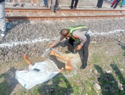 Diduga Sengaja Terobos Palang Pintu Perlintasan KA Warga Bangkalan Tewas Tertabrak KA