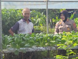 Dukung Ketahanan Nasional, Kanit Binmas Ajak Warga Desa Punggul Kembangkan Sayuran Hidroponik