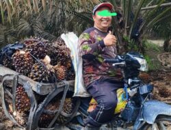 Tangkap Penguasa Hutan Margasatwa Kampar yang Telah Merusak Lingkungan