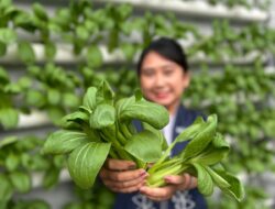 Dari Benih hingga Panen Wujudkan Green Hotel di Aston Sidoarjo