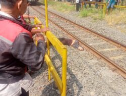 Seorang Wanita Tewas Tertabrak KA di depan Maspion 3 