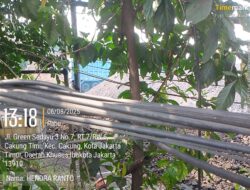 Lokasi Green Sedayu Jakarta Timur Diduga Oknum Jenderal Bekingi Lokasi Lahan Penimbun Tambang Batubara Tidak Ada Memenuhi Persyaratan Perizinan Dan Meresahkan