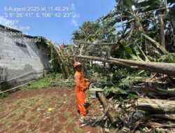 Perkembangan Situasi dan Penanganan Bencana di Tanah Air