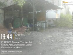 Lokasi Pisangan Timur Jakarta Timur Diduga Lokasi Lahan Kosong Terdapat Lahan Penimbun Solar Meresahkan