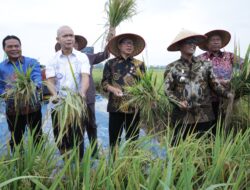 Mendes Yandri Apresiasi Kolaborasi Kejaksaan dan Petani Wujudkan Swasembada Pangan