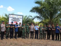 Presiden Prabowo Lindungi Kekayaan Alam Melalui Satuan Tugas Penertiban Kawasan Hutan