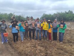 BUMDes Maju Basamo Pulau Kalimanting Fokuskan Ketahanan Pangan Demi Kesejahteraan Masyarakat