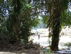 PETI Simbolon, Yatino, Ranto, Elvis dan Teguh Pora-Porandakan Desa Sungai Sirih