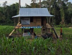 BUMDes Harum Mekar Sejati Desa Koto Inuman Fokuskan Ketahanan Pangan Demi Kesejahteraan Masyarakat