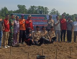 BUMDES Karya Mandiri tanam jagung, Ketua Grib Jaya Benai : potensi baru untuk ekonomi masyarakat
