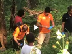 Gempar Ditemukan Potongan Tubuh Manusia di Kawasan Pacet Cangar 