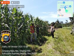 Ketahanan Pangan Desa Simpang Raya Siap Dukung Program Pemerintah Demi Menyokong Perekonomian Masyarakat 