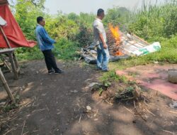 Polisi Bakar Arena Sambung Ayam di Jatikalang Kecamatan Prambon