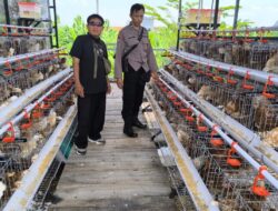 Bhabinkamtibmas Sidodadi Sambangi Peternakan Ayam Petelur, Tingkatkan Ketahanan Pangan 