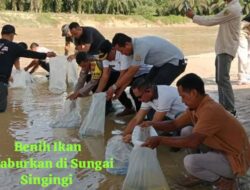 Perkiraan 128.286 Ekor Rehabilitasi Benih Ikan Diduga Bakal Terancam, Kemanakah Peran Oknum Pengawas DLH Kuansing