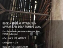 APH Inhil Diduga Bisa di Kendalikan Oleh Mafia Ilegaloging