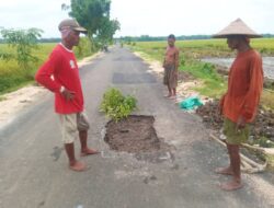 Dana Miliaran Rupiah, Jalan Aspal BKKD Desa Ngampal Bojonegoro Rusak dalam Hitungan Minggu