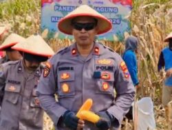 Panen Raya Jagung 1 Hektar di Seduri, Kapolsek Balongbendo Pimpin Dukungan Program Ketahanan Pangan Nasional