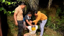 BNNK KUANTAN SINGINGI AMANKAN PRIA TERDUGA  MENGAKU SEBAGAI ANGGOTA BNN