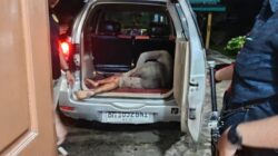 Malang tak dapat di tolak, diduga Bandar Narkoba Muara langsat, Harus Terima kenyatan