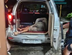 Malang tak dapat di tolak, diduga Bandar Narkoba Muara langsat, Harus Terima kenyatan