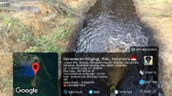 Gawat..! PT PCS: Sehari Pasca Sidak Pemkab Kuansing, Warga Temukan Air Anak Sungai Berubah Gelap, Penegak Hukum Mesti Bertindak 