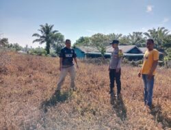 POLSEK BENAI KOORDINASIKAN RENCANA PENANAMAN JAGUNG PIPIL DI DESA PULAU LANCANG