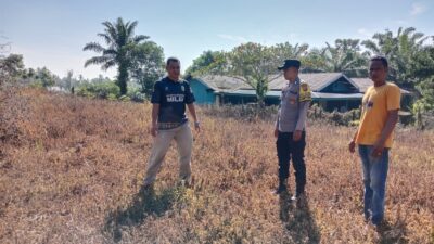 POLSEK BENAI KOORDINASIKAN RENCANA PENANAMAN JAGUNG PIPIL DI DESA PULAU LANCANG
