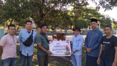 PT SBL Salurkan Hewan Kurban untuk Masyarakat Desa Jalur Patah dan Beringin Jaya