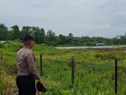 Bhabinkamtibmas Polsek Benai Cek Lokasi Penanaman Jagung Pipil di Desa Benai Kecil