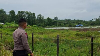 Bhabinkamtibmas Polsek Benai Cek Lokasi Penanaman Jagung Pipil di Desa Benai Kecil