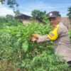 Kapolsek Singingi Dukung Program Presiden Asta Cita