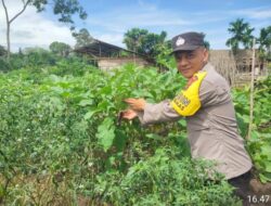 Kapolsek Singingi Dukung Program Presiden Asta Cita