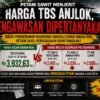 PETANI SAWIT MENJERIT, HARGA TBS “TERJUN” DINAS PERKEBUNAN KUANSING DIDUGA LEMAH DALAM PENGAWASAN HARGA TBS