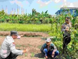 Polisi Cinta Petani Polsek Sedati Dukung Swasembada Pangan Nasional 