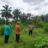 Polsek Benai Koordinasi Persiapan Penanaman Jagung Pipil di Desa Geringging Baru, Dukung Program Ketahanan Pangan
