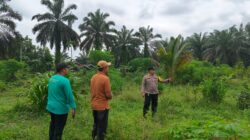 Polsek Benai Koordinasi Persiapan Penanaman Jagung Pipil di Desa Geringging Baru, Dukung Program Ketahanan Pangan
